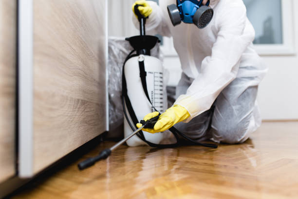 Professional Pest Control in Mosheim, TN