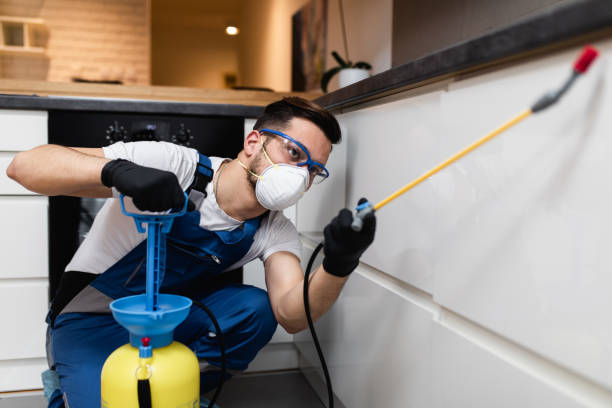 Best Wasp Removal Services  in Mosheim, TN