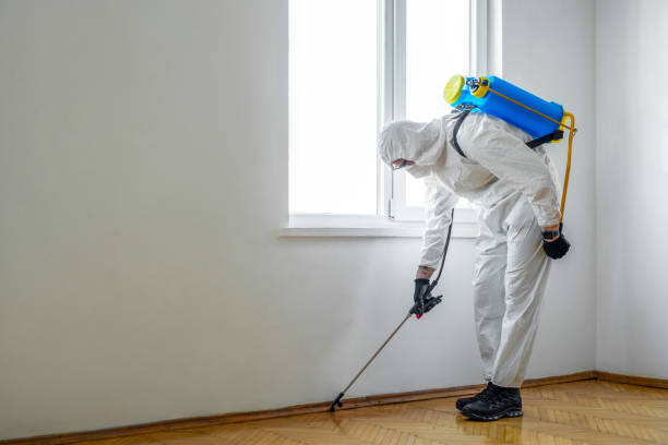 Best Flea Control Services  in Mosheim, TN