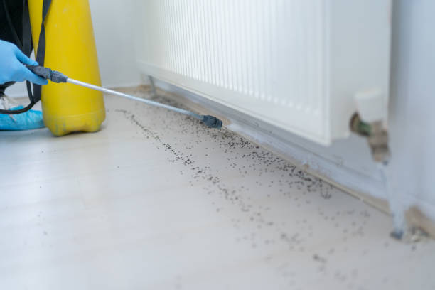 Best Pest Prevention Services  in Mosheim, TN