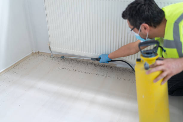 Best Pest Removal Services  in Mosheim, TN