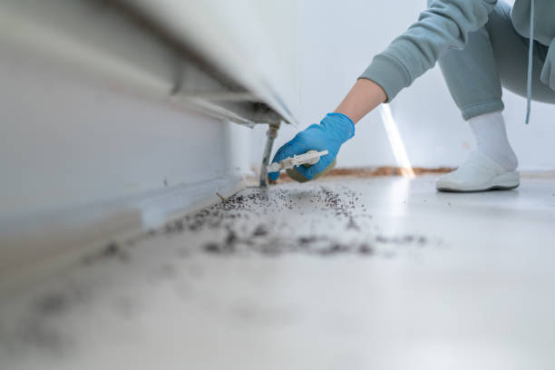 Best Best Pest Control Companies  in Mosheim, TN